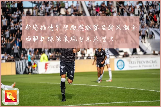 斯塔福德引领橄榄球赛场新风潮全面解析球场表现与未来潜力