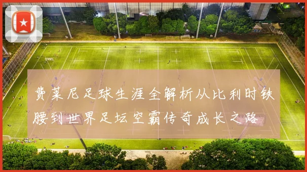 费莱尼足球生涯全解析从比利时铁腰到世界足坛空霸传奇成长之路